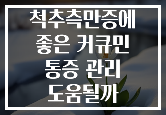 척추측만증에 좋은 커큐민 통증 관리 도움될까