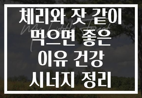 체리와 잣 같이 먹으면 좋은 이유 건강 시너지 정리