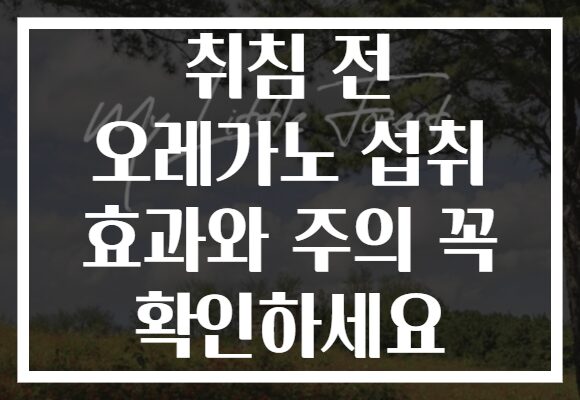 취침 전 오레가노 섭취 효과와 주의 꼭 확인하세요