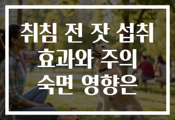 취침 전 잣 섭취 효과와 주의 숙면 영향은