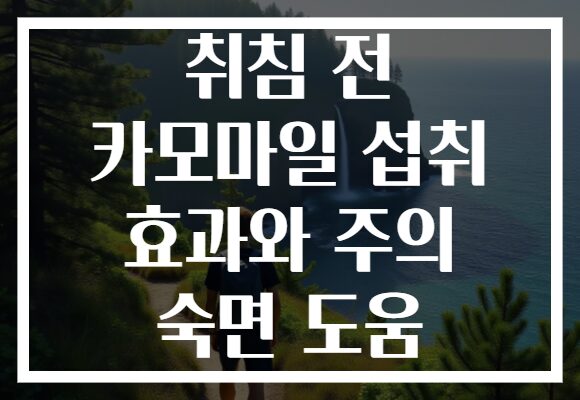 취침 전 카모마일 섭취 효과와 주의 숙면 도움