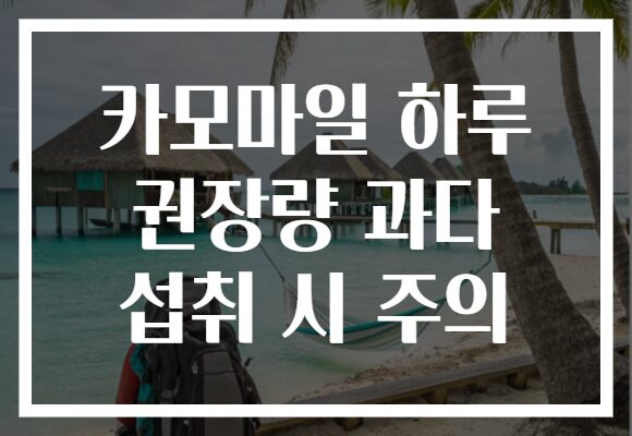 카모마일 하루 권장량 과다 섭취 시 주의
