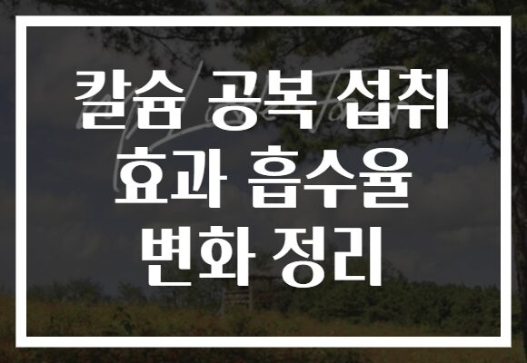 칼슘 공복 섭취 효과 흡수율 변화 정리