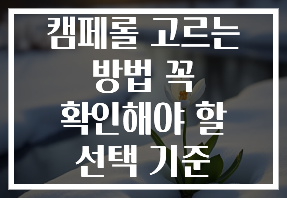캠페롤 고르는 방법 꼭 확인해야 할 선택 기준