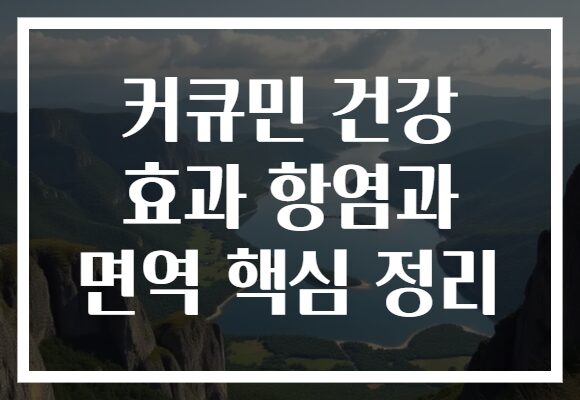 커큐민 건강 효과 항염과 면역 핵심 정리
