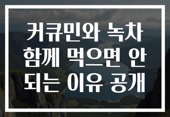 커큐민와 녹차 함께 먹으면 안 되는 이유 공개