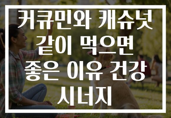 커큐민와 캐슈넛 같이 먹으면 좋은 이유 건강 시너지