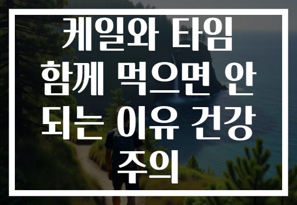 케일와 타임 함께 먹으면 안 되는 이유 건강 주의