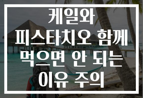 케일와 피스타치오 함께 먹으면 안 되는 이유 주의
