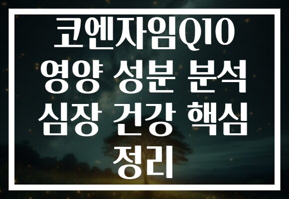 코엔자임Q10 영양 성분 분석 심장 건강 핵심 정리