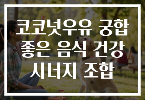 코코넛우유 궁합 좋은 음식 건강 시너지 조합