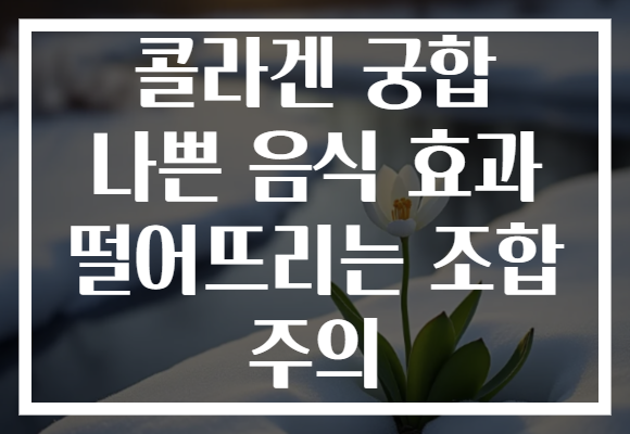 콜라겐 궁합 나쁜 음식 효과 떨어뜨리는 조합 주의
