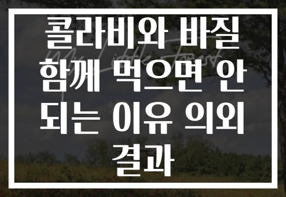 콜라비와 바질 함께 먹으면 안 되는 이유 의외 결과