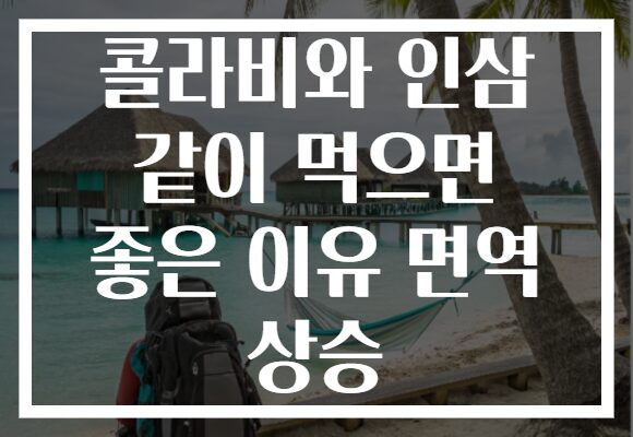 콜라비와 인삼 같이 먹으면 좋은 이유 면역 상승