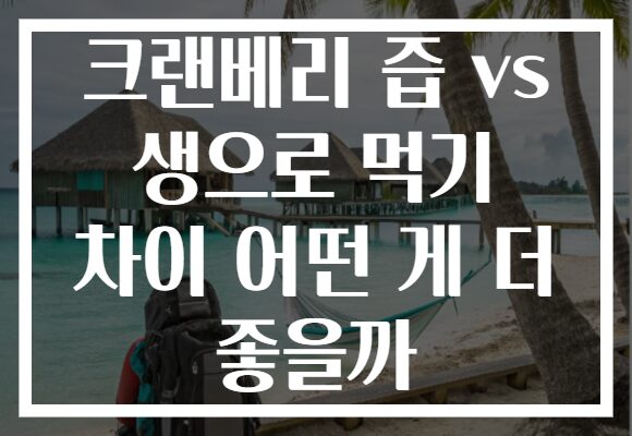 크랜베리 즙 vs 생으로 먹기 차이 어떤 게 더 좋을까