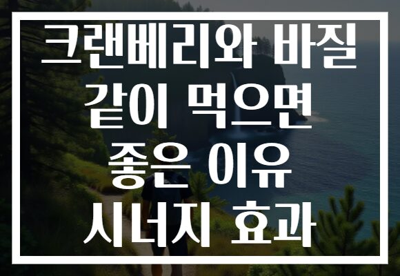 크랜베리와 바질 같이 먹으면 좋은 이유 시너지 효과