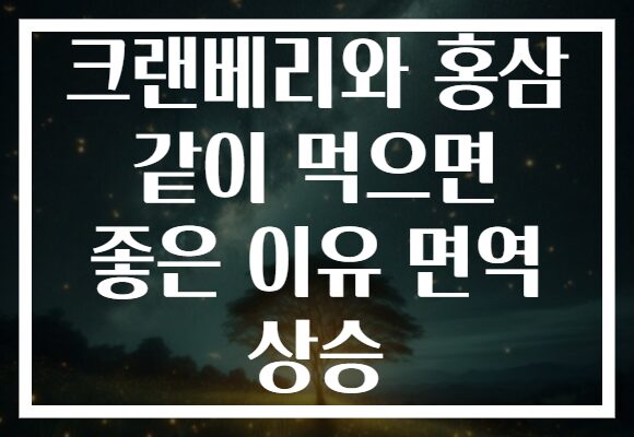 크랜베리와 홍삼 같이 먹으면 좋은 이유 면역 상승