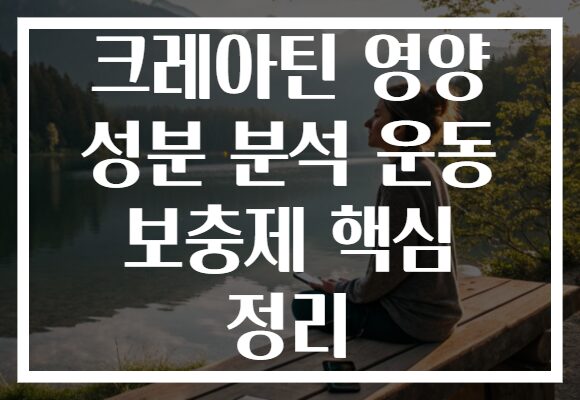 크레아틴 영양 성분 분석 운동 보충제 핵심 정리