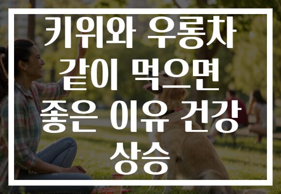 키위와 우롱차 같이 먹으면 좋은 이유 건강 상승