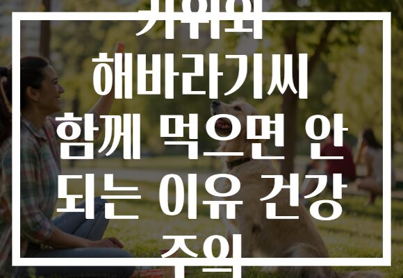 키위와 해바라기씨 함께 먹으면 안 되는 이유 건강 주의