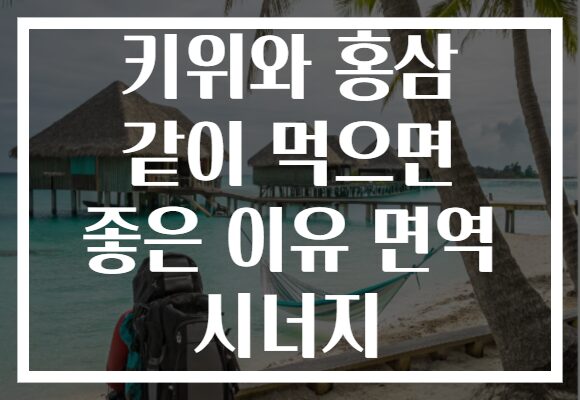 키위와 홍삼 같이 먹으면 좋은 이유 면역 시너지