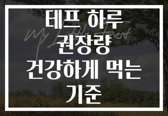 테프 하루 권장량 건강하게 먹는 기준