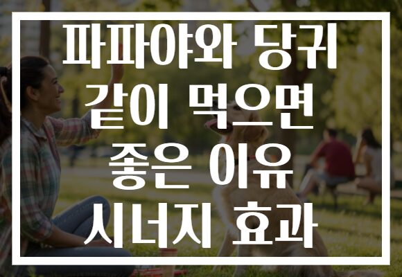 파파야와 당귀 같이 먹으면 좋은 이유 시너지 효과