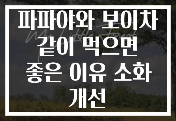 파파야와 보이차 같이 먹으면 좋은 이유 소화 개선