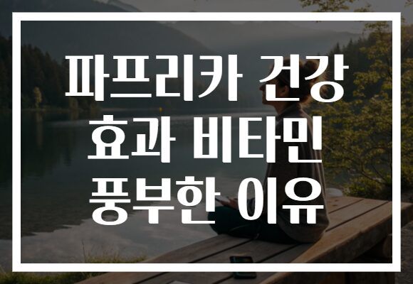 파프리카 건강 효과 비타민 풍부한 이유