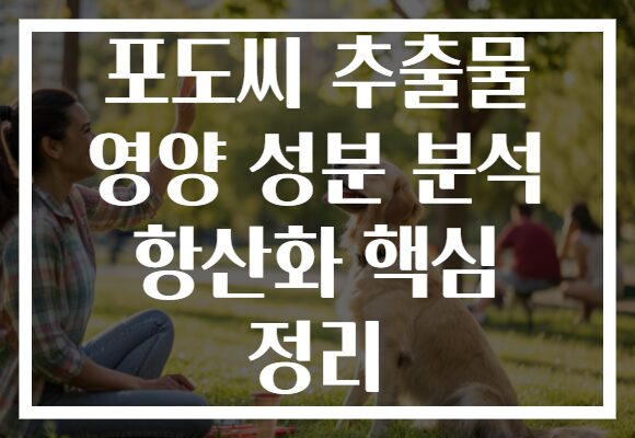 포도씨 추출물 영양 성분 분석 항산화 핵심 정리