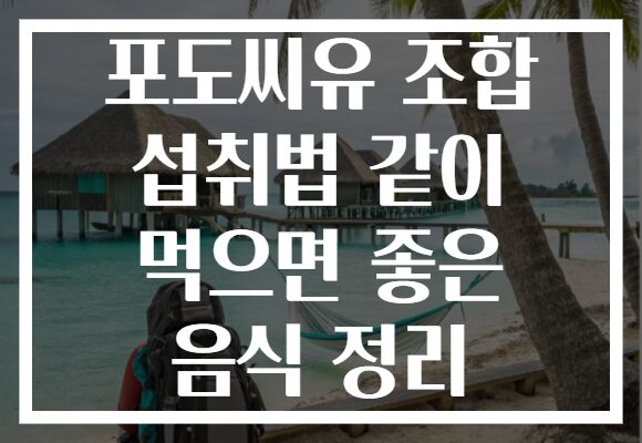 포도씨유 조합 섭취법 같이 먹으면 좋은 음식 정리