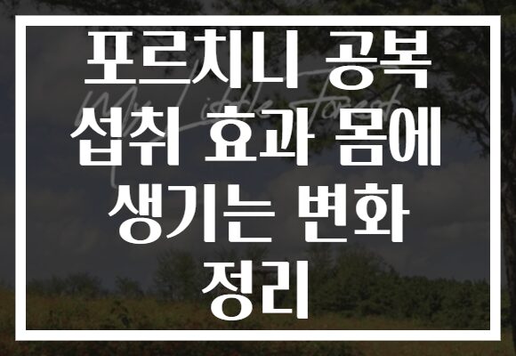 포르치니 공복 섭취 효과 몸에 생기는 변화 정리