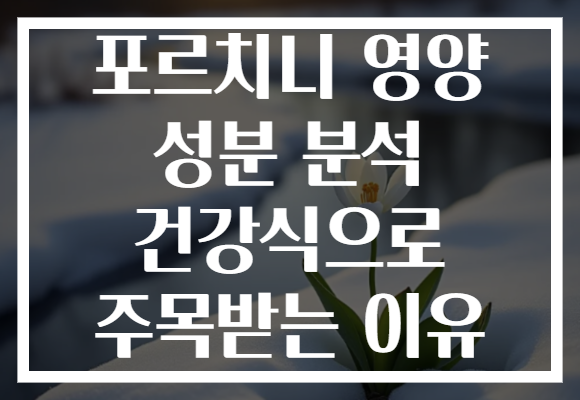 포르치니 영양 성분 분석 건강식으로 주목받는 이유