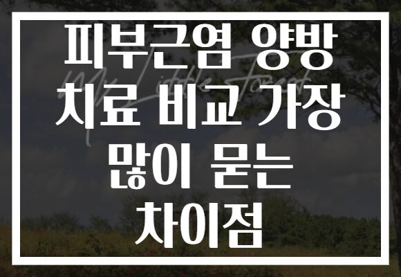 피부근염 양방 치료 비교 가장 많이 묻는 차이점
