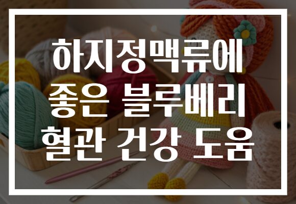 하지정맥류에 좋은 블루베리 혈관 건강 도움