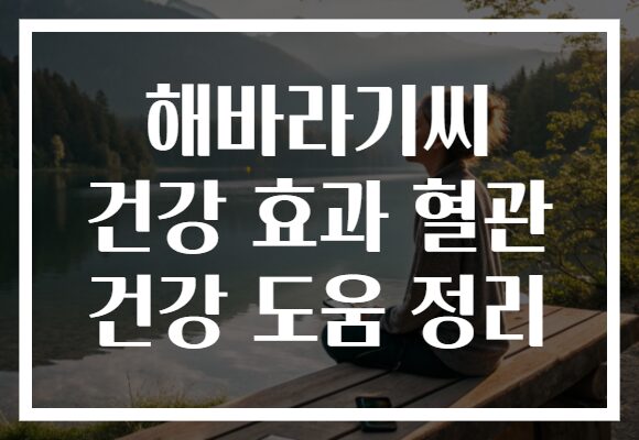 해바라기씨 건강 효과 혈관 건강 도움 정리