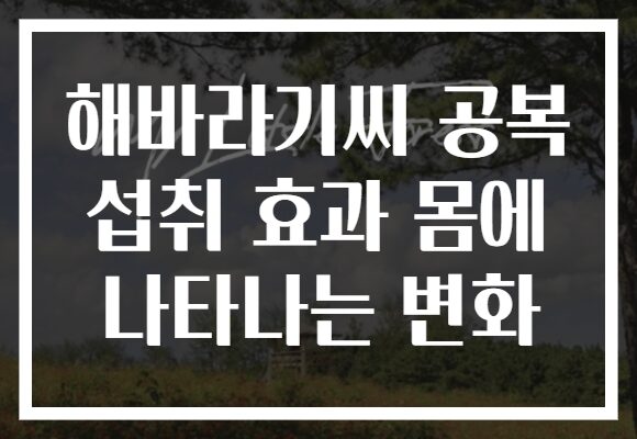 해바라기씨 공복 섭취 효과 몸에 나타나는 변화