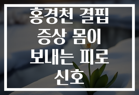 홍경천 결핍 증상 몸이 보내는 피로 신호
