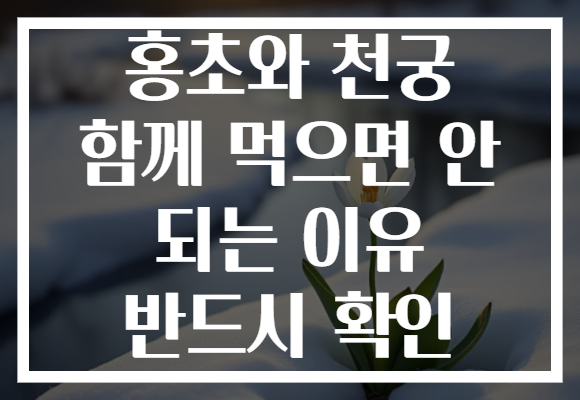 홍초와 천궁 함께 먹으면 안 되는 이유 반드시 확인