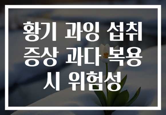 황기 과잉 섭취 증상 과다 복용 시 위험성