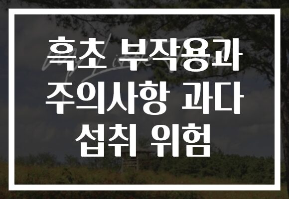 흑초 부작용과 주의사항 과다 섭취 위험