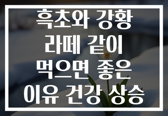 흑초와 강황 라떼 같이 먹으면 좋은 이유 건강 상승