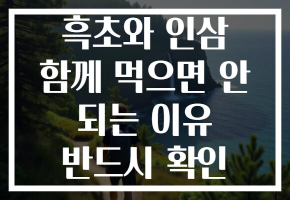 흑초와 인삼 함께 먹으면 안 되는 이유 반드시 확인