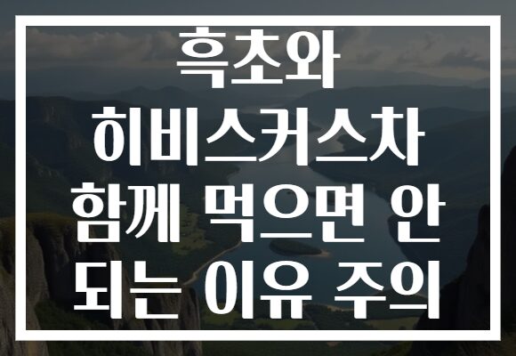 흑초와 히비스커스차 함께 먹으면 안 되는 이유 주의