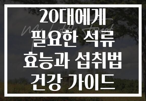 20대에게 필요한 석류 효능과 섭취법 건강 가이드