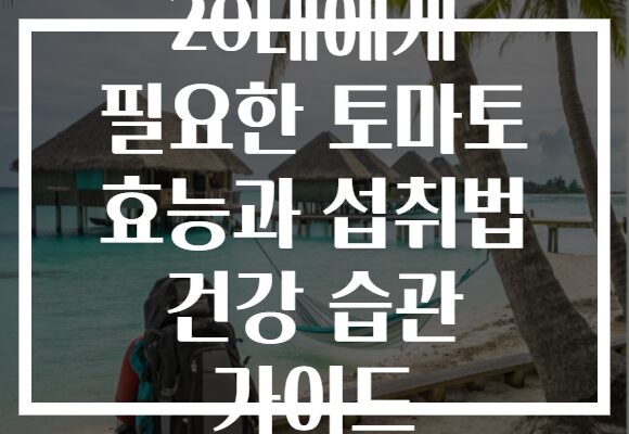20대에게 필요한 토마토 효능과 섭취법 건강 습관 가이드