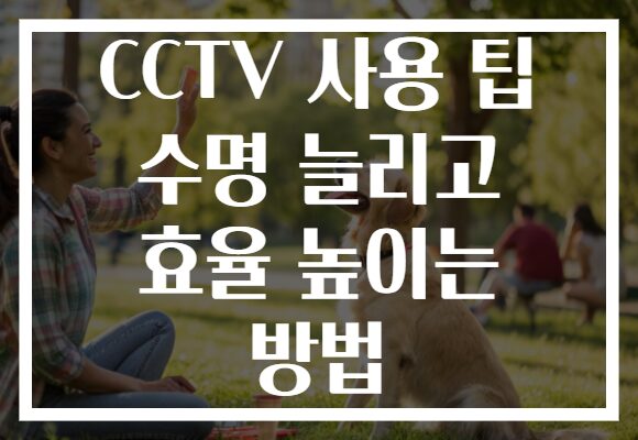 CCTV 사용 팁 수명 늘리고 효율 높이는 방법