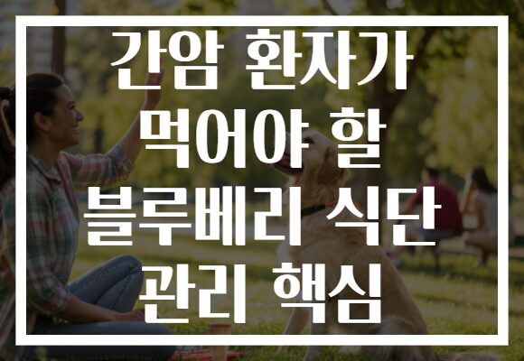 간암 환자가 먹어야 할 블루베리 식단 관리 핵심