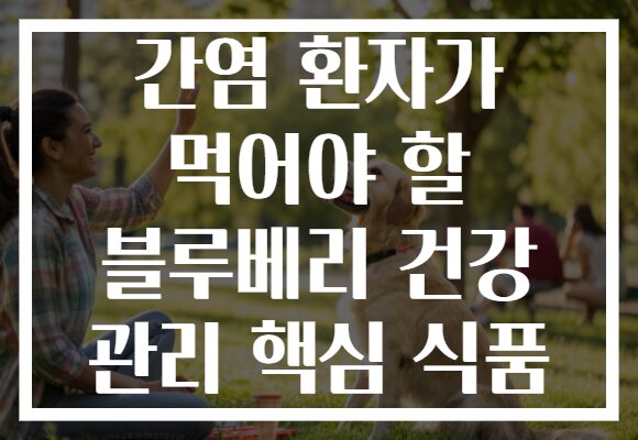 간염 환자가 먹어야 할 블루베리 건강 관리 핵심 식품