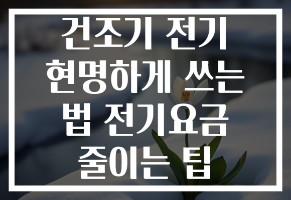 건조기 전기 현명하게 쓰는 법 전기요금 줄이는 팁
